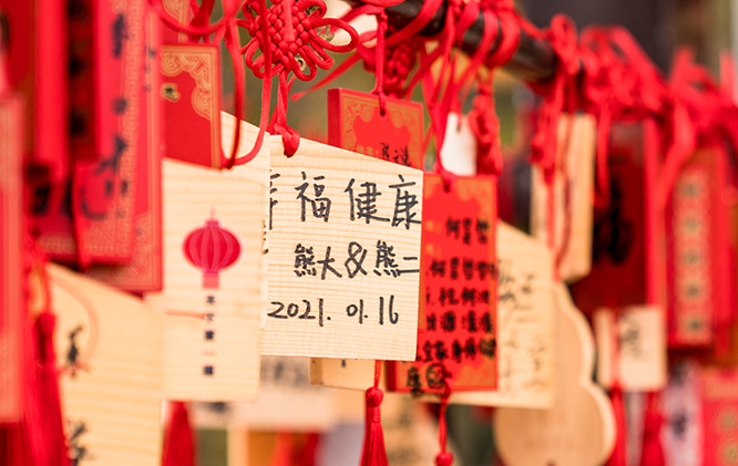 ��ͨ��ɽ����ɭ�ֹ��@